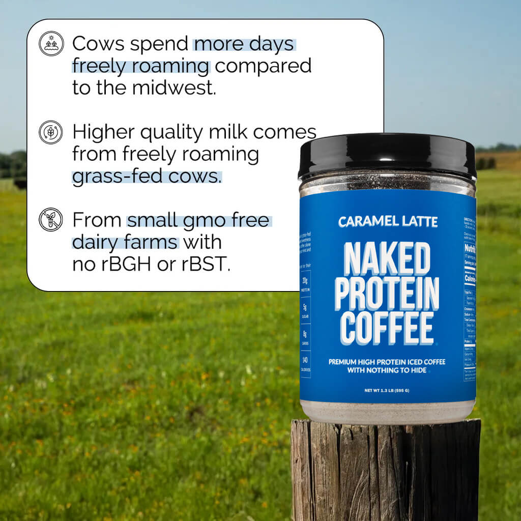 Caramel Latte Protein Iced Coffee - Caramel Latte for Convenient Coffee and Protein Drinks