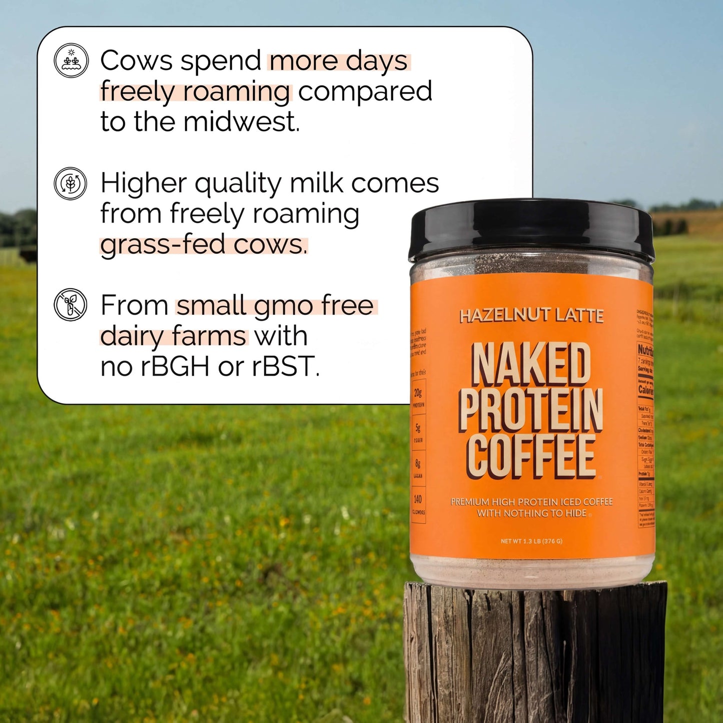 Hazelnut Latte Protein Iced Coffee - Hazelnut Latte for Convenient Coffee and Protein Drinks