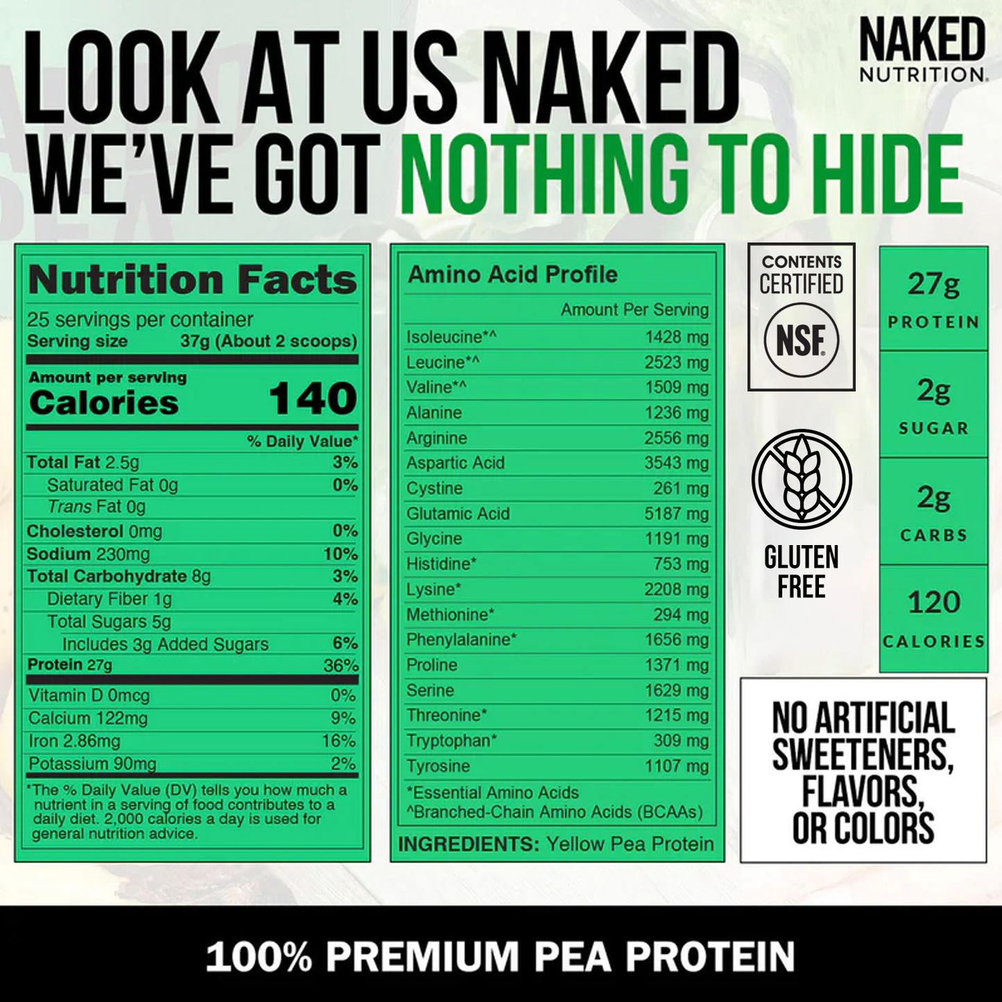 Pea Protein Powder - Unflavored - Standard Size for Smooth Everyday Protein Shakes