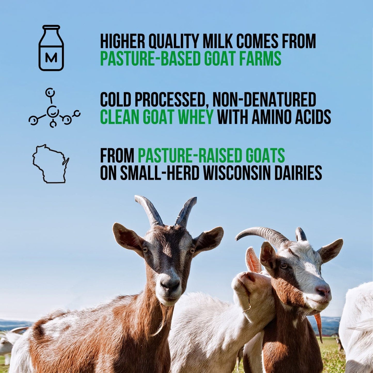 Chocolate Goat Whey Protein Powder - Chocolate for Smooth Everyday Protein Shakes