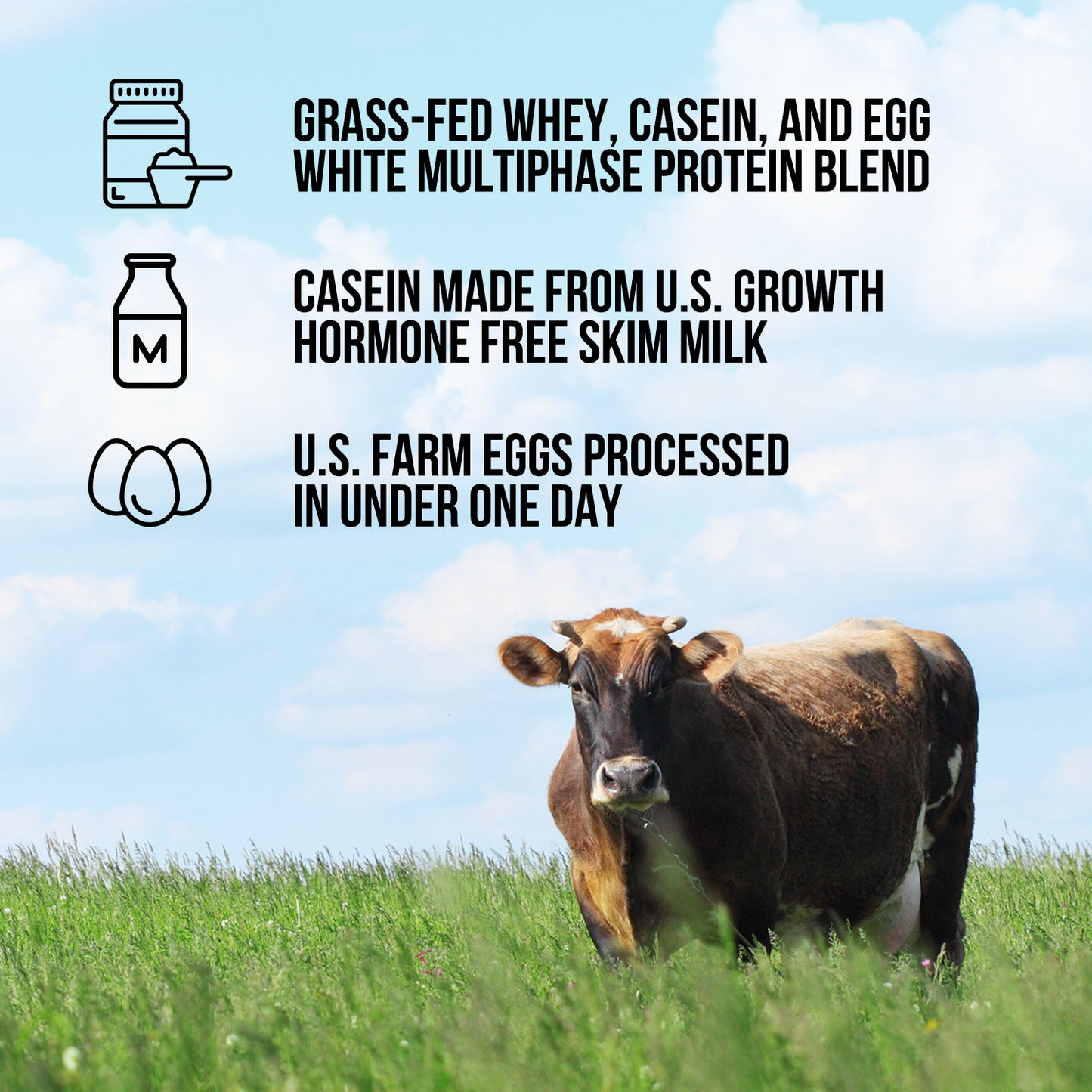 Protein Powder Blend - 3LB Egg Whey & Casein Protein Blend - 3LB for Smooth Everyday Protein Shakes