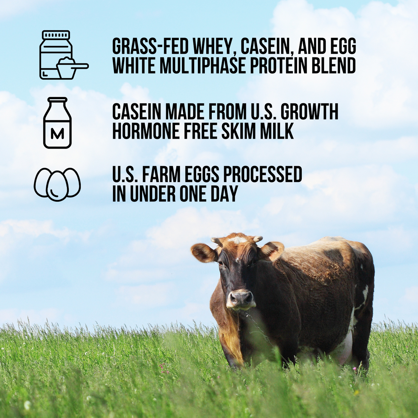 Protein Powder Blend - 1LB Egg Whey & Casein Protein Blend - 1LB for Smooth Everyday Protein Shakes