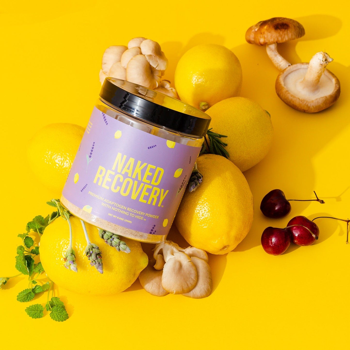 Mushroom Blend Supplement with Tart Cherry & Lemon Balm for Simple Everyday Nutrition Routines