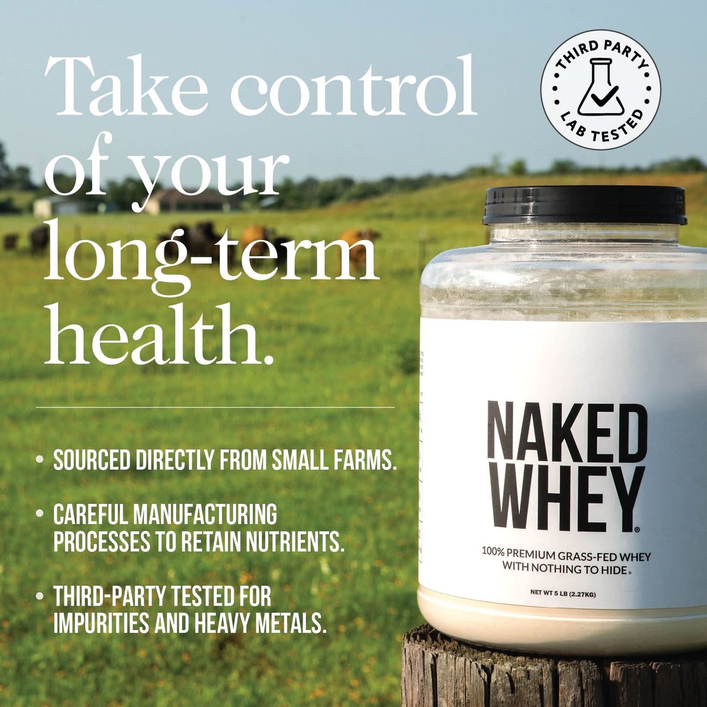Grass Fed Whey Protein Powder - Unflavored - Standard Size for Smooth Everyday Protein Shakes
