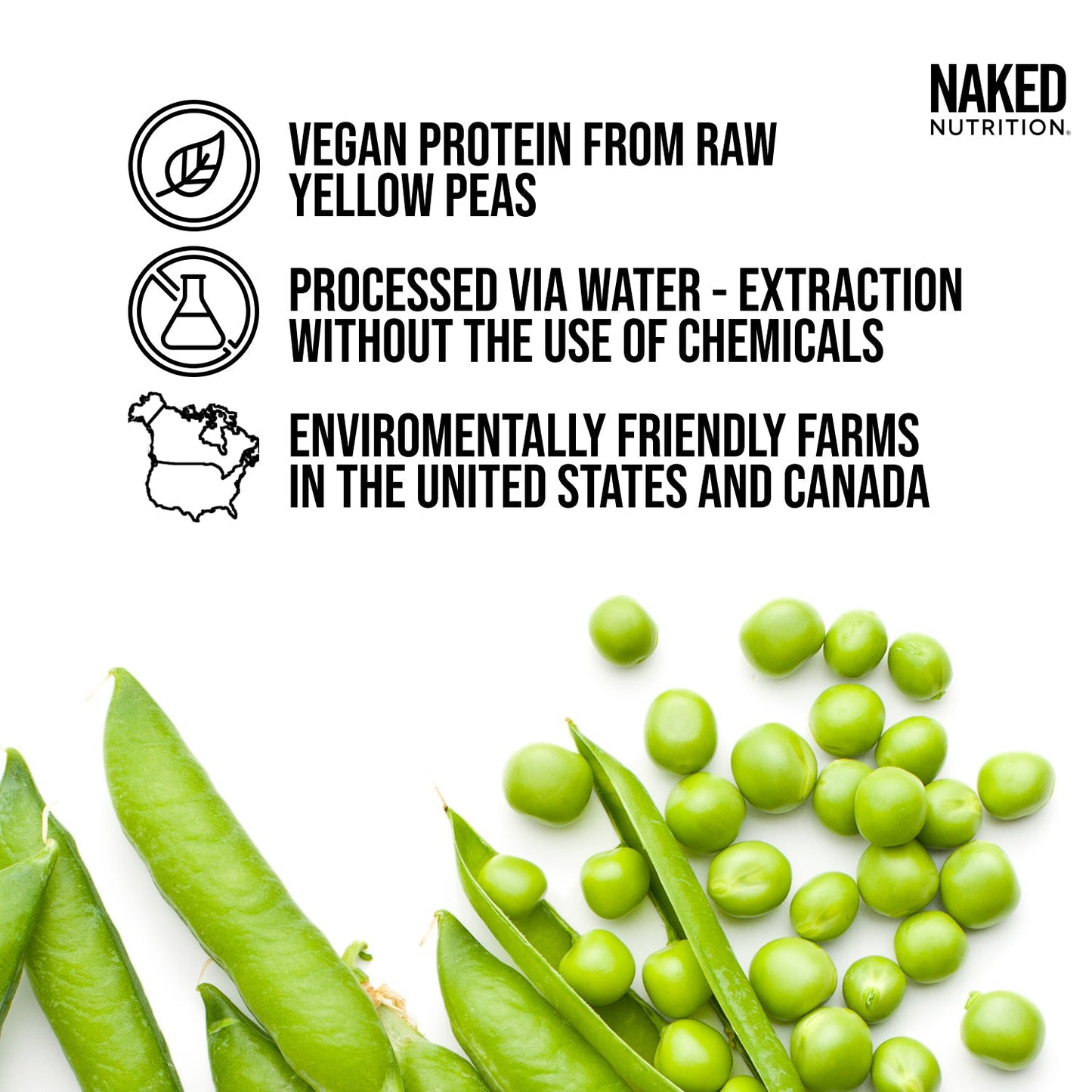 Pea Protein Powder - Unflavored - Value Size for Smooth Everyday Protein Shakes