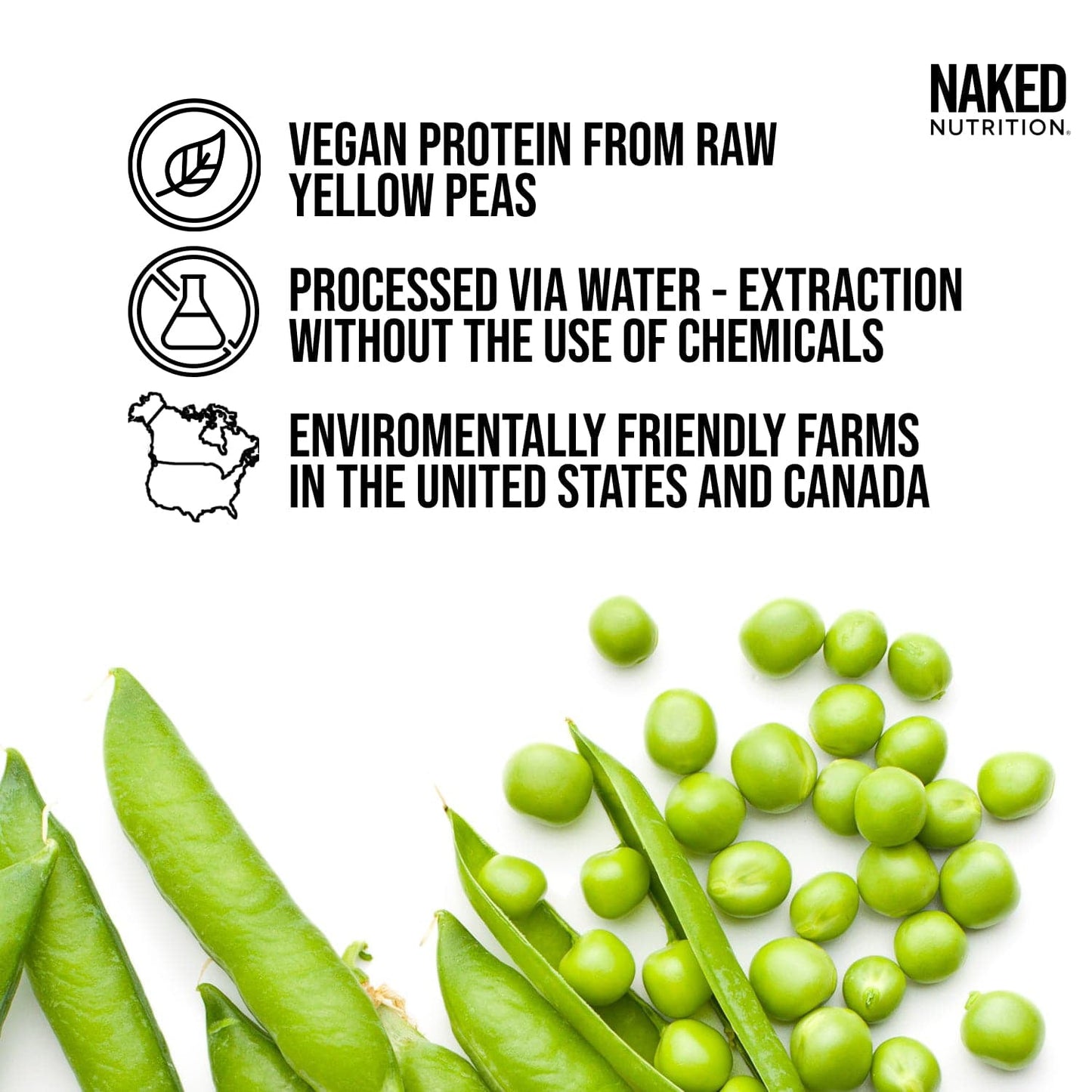 Chocolate Peanut Butter Pea Protein Powder - Chocolate PB - Chocolate Formula for Smooth Everyday Protein Shakes